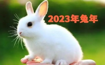 2023年年度教师考核个人总结最新7篇
