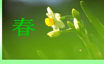 春天的写景作文通用8篇