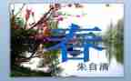 过春节的教案7篇