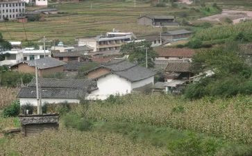 村个人半年工作总结范文通用8篇