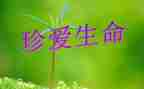 珍爱生命主题班会教案5篇