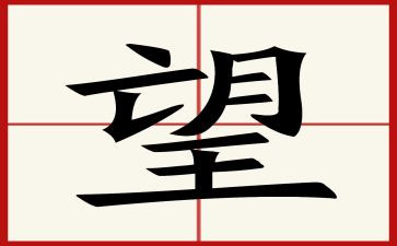 我希望_______作文模板6篇